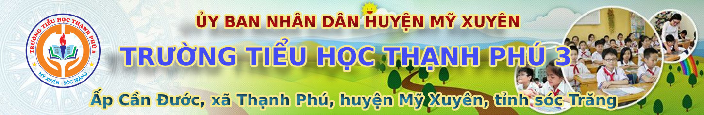 TH Thạnh Phú 3